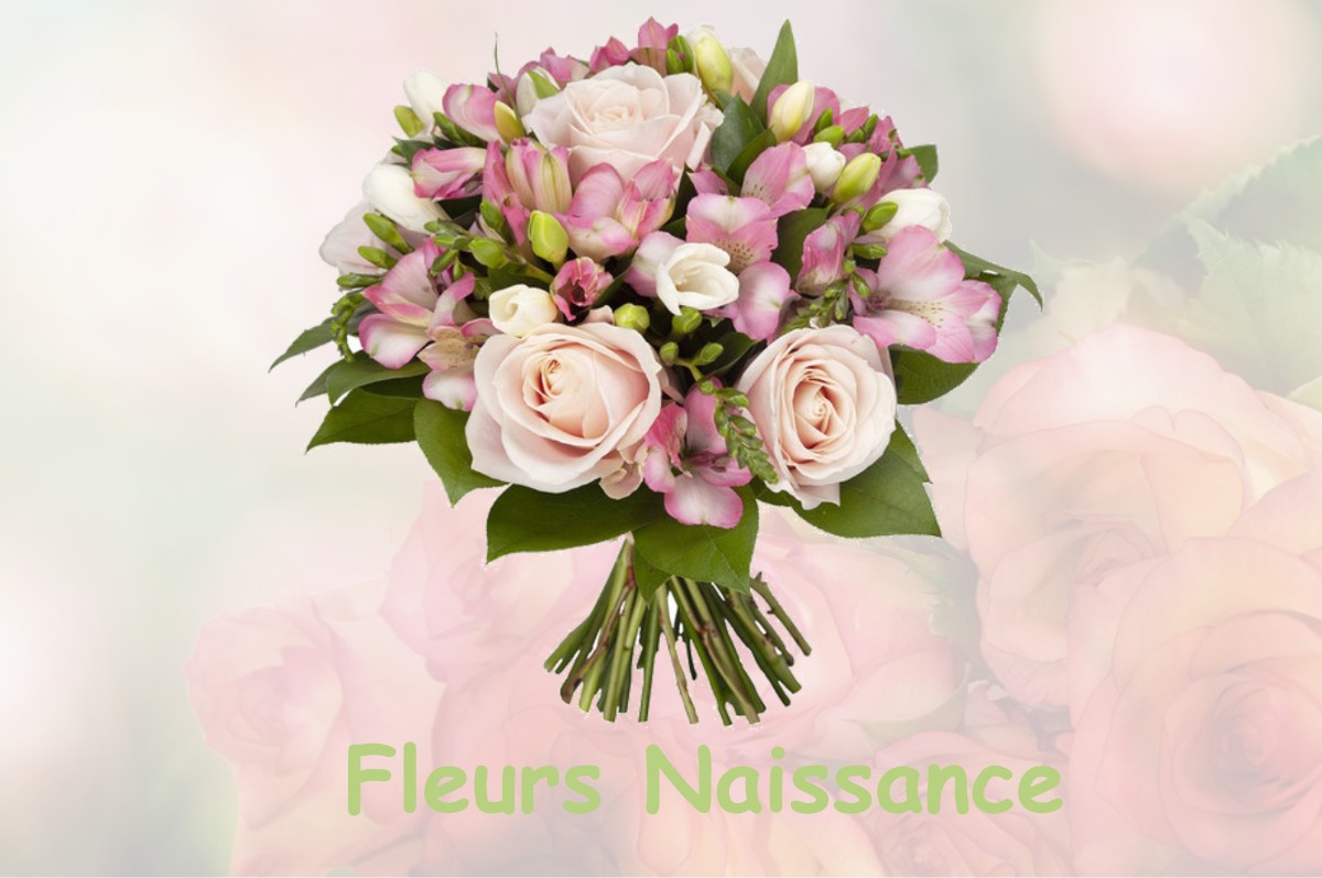 fleurs naissance FONTENAY-EN-PARISIS